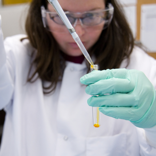 Person using lab equipment