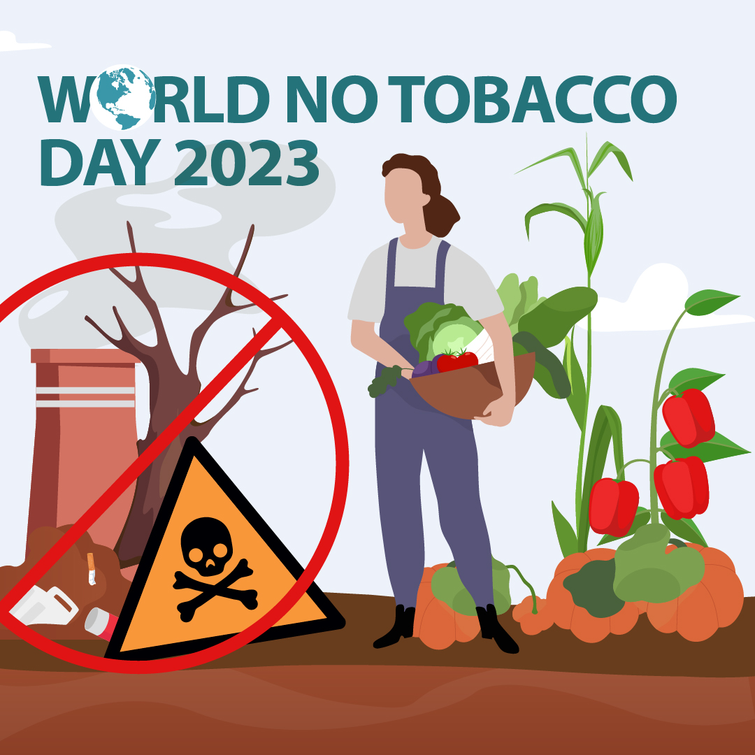 World No Tobacco Day Illustration of Stop Smoking, Cigarette Butt and Harm  the Lungs in Flat Cartoon Hand Drawn for Landing Page Templates 20906868  Vector Art at Vecteezy