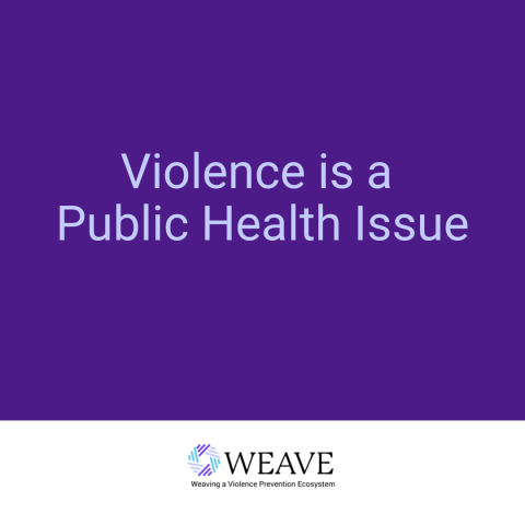 thumbnail image that says "Violence is a Public Health Issue."